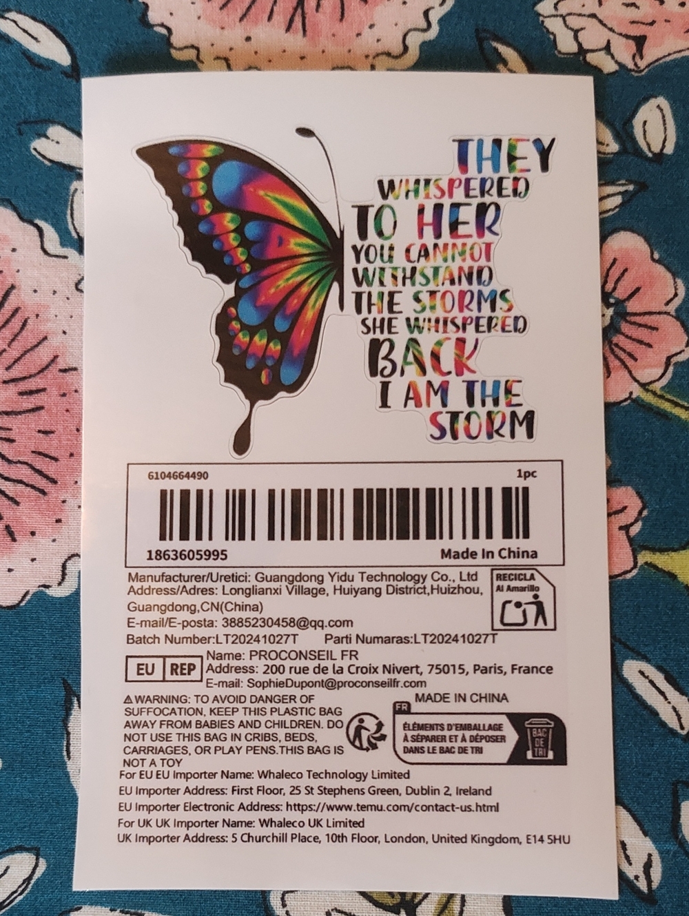 CAR: RAINBOW 🌈 BUTTERFLY INSPIRATIONAL STICKER